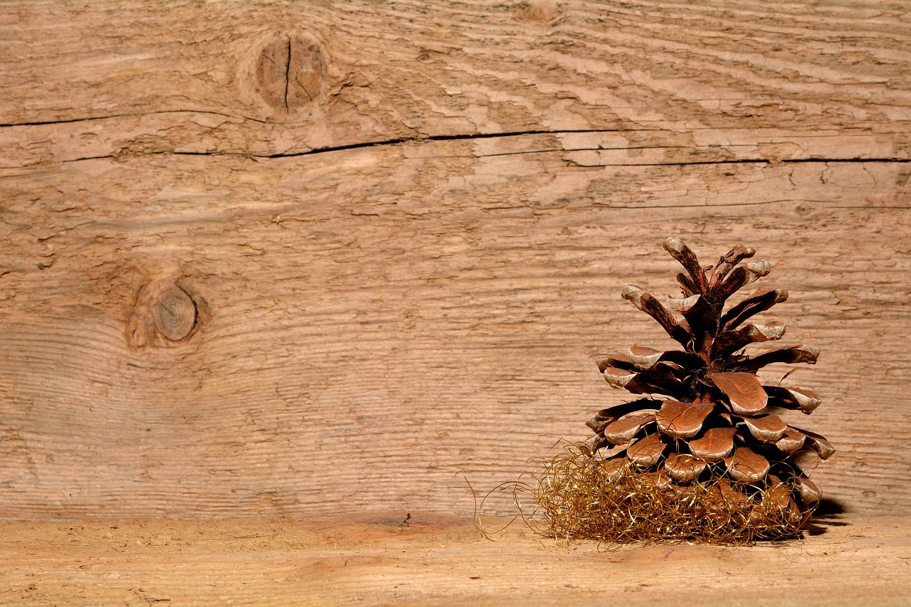 10 Simple Crafts for Celebrating Thanksgiving with Kids